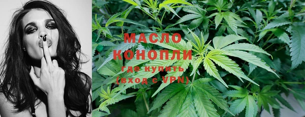первитин Михайлов
