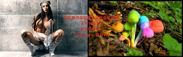 ALPHA PVP Михайловск